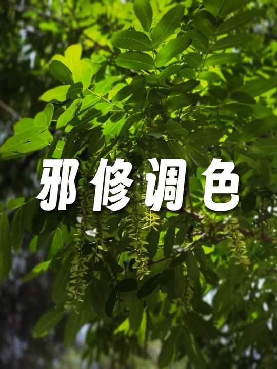 调色邪修：简单粗暴有手就行-小妖客栈
